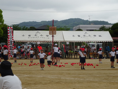 DSC06525