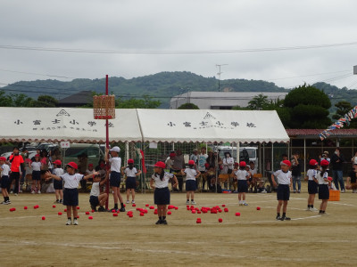 DSC06529
