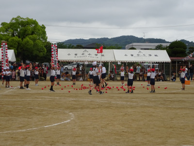 DSC06530