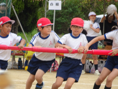 DSC06548