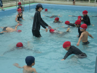 IMGP0582